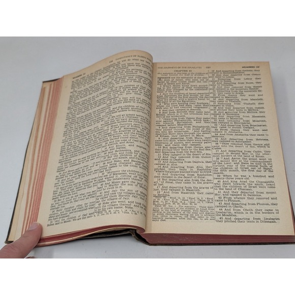 The Holy Bible The Douay Bible House 1941 Hardcover Pope Leo XIII VTG 1940s 40s - Picture 9 of 16